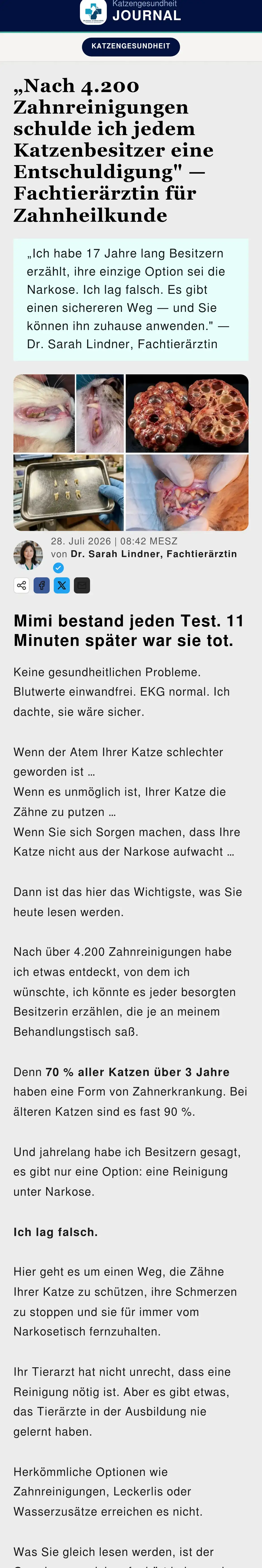 Alltagsbewusst: „Nach 4.200 Zahnreinigungen schulde ich jedem Katzenbesitzer eine Entschuldigung