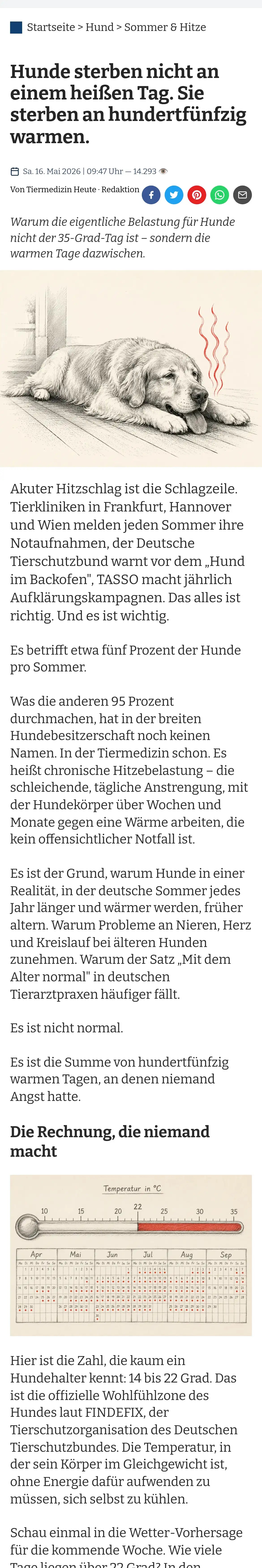 Sabines Hunde-Tagebuch: Hunde sterben nicht an einem heißen Tag. Sie sterben an hundertfünfzig warmen.