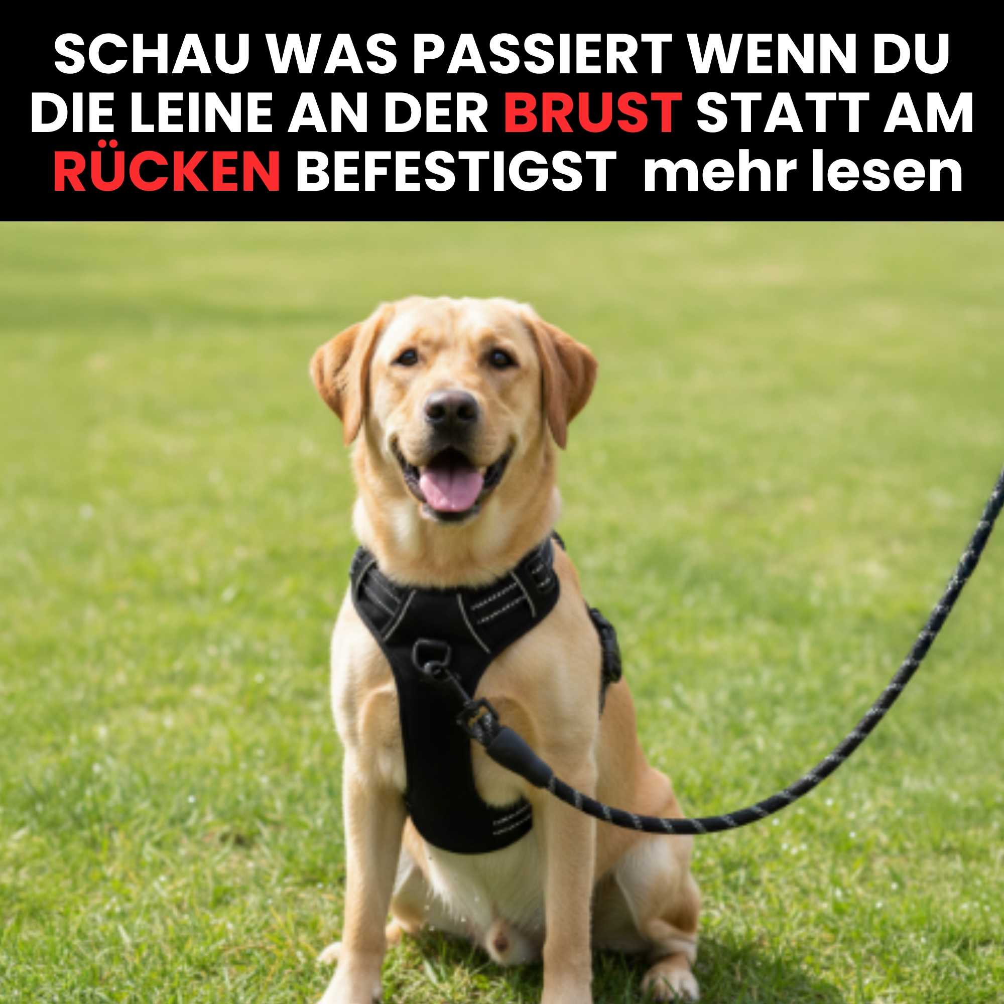 Ich hatte eigentlich nicht vor, das öffentlich zu teilen. Aber mir wurde klar,
dass das, was ich durchgemacht habe, ande