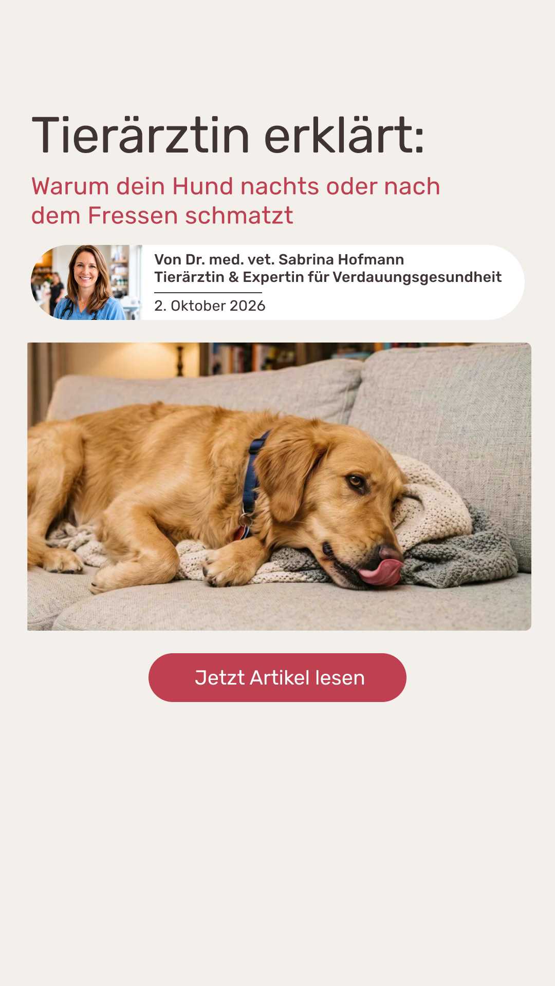 Mammaly Meta Ad #1